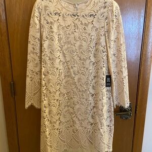 Express Cream Lace Long Sleeve Sheath Dress